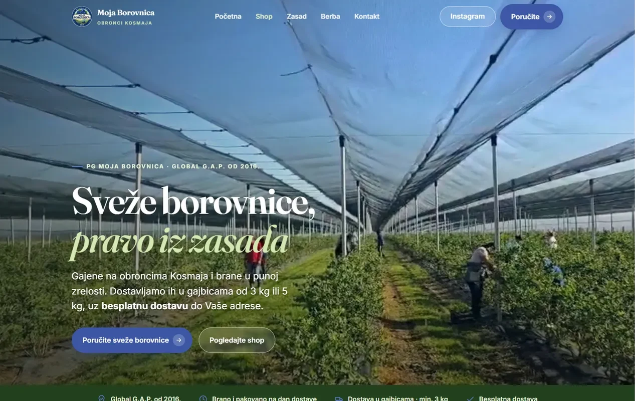 Početna strana sajta Moja Borovnica